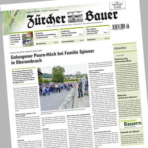 Zürcher Bauer